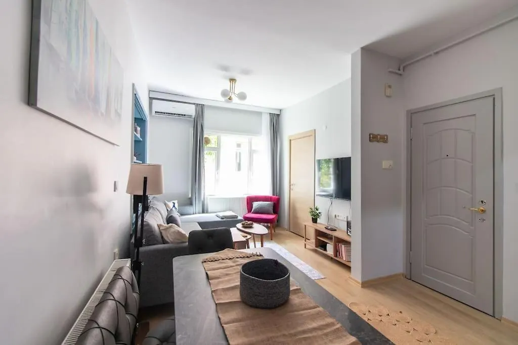Renewed&Charming 3Br Flat In The Heart Of The City Istanbulská provincie Apartmán