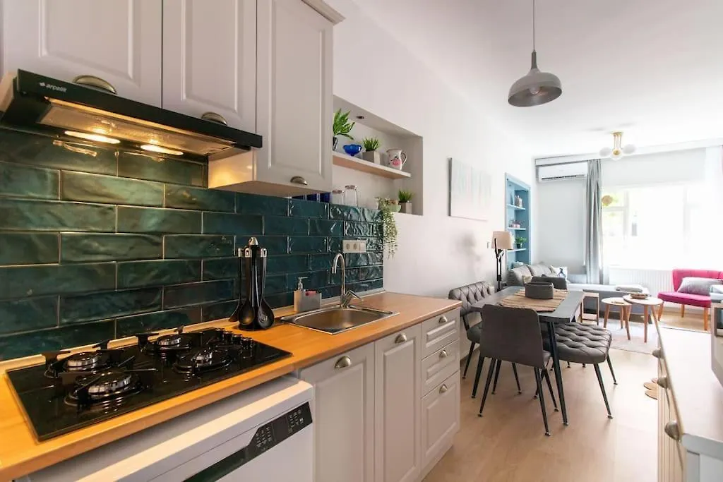 Renewed&Charming 3Br Flat In The Heart Of The City Istanbulská provincie Apartmán