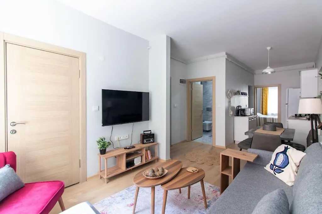 Renewed&Charming 3Br Flat In The Heart Of The City Istambul