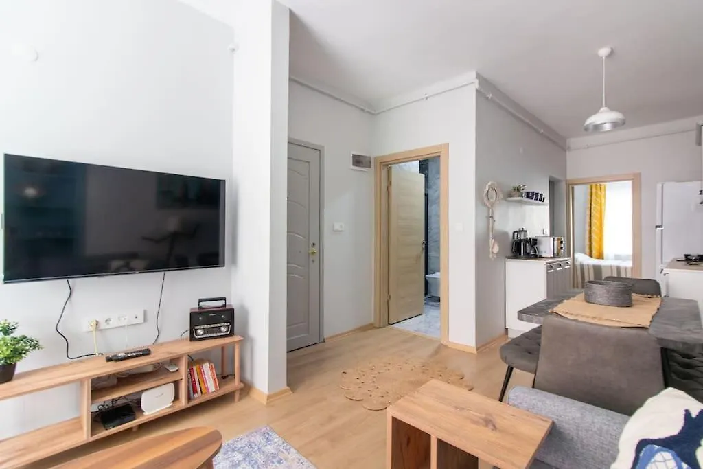 Apartmán Renewed&Charming 3Br Flat In The Heart Of The City Istanbulská provincie Turecko