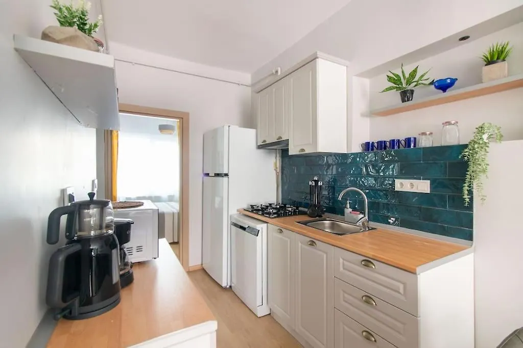 Renewed&Charming 3Br Flat In The Heart Of The City Istanbul 0*,  Turkey