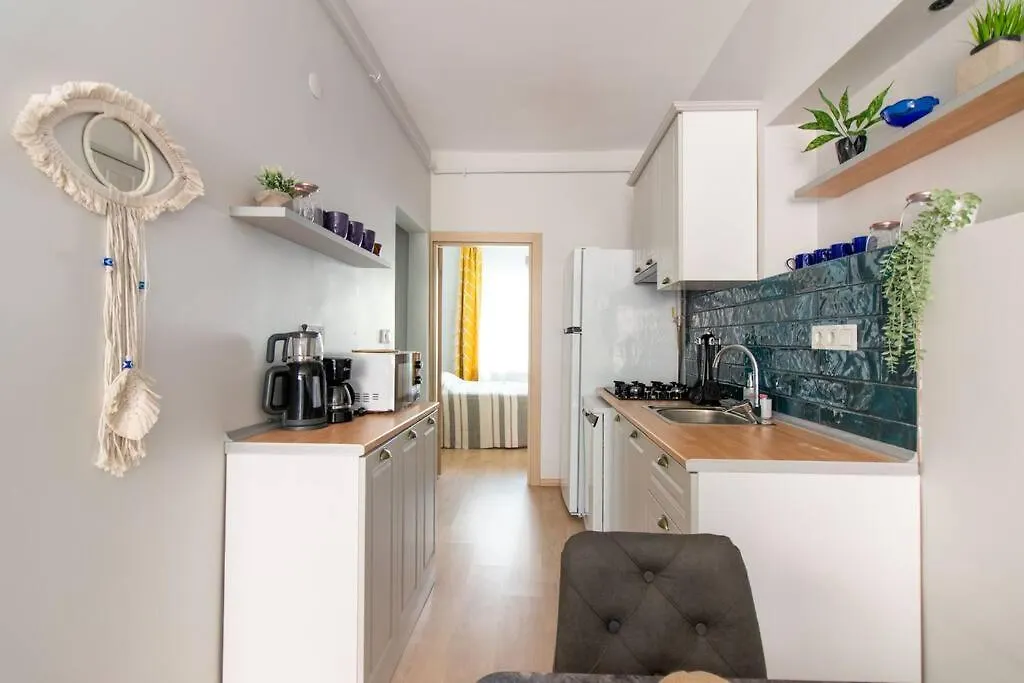 Renewed&Charming 3Br Flat In The Heart Of The City Istanbul